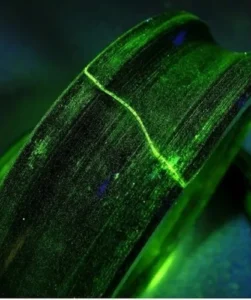 Electromagnetic Image